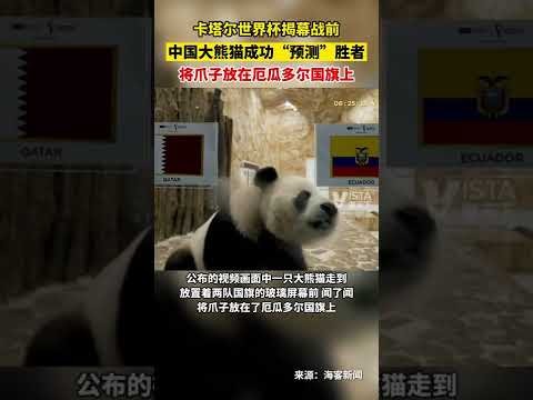 沃克声明,目击情况不,裁判判定特,博天堂,彩票平台,彩票投注,专业分析,在线购彩