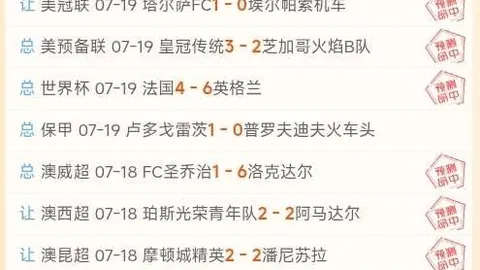 博天堂 055438 538